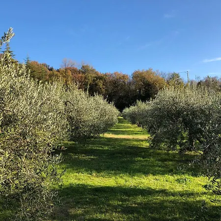 La Tenuta Del Giglio Tavullia